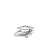 connarologue