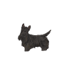 Scottish Terrier Scottie Dog