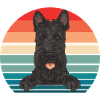 Terrier écossais Scottie Chien