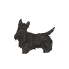 Scottish Terrier Scottie Dog
