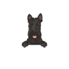 Scottish Terrier Scottie Dog