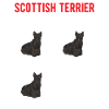 Scottish Terrier Scottie Dog