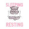 I don't sleep - hippopotamus