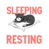 I don't sleep - cat