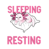 I don't sleep - Axolotl