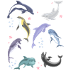 Inspirational Environmentalism Dolphin