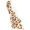Leopard-muster Karte Staat Delaware