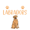 Cadeaux amoureux du Labrador