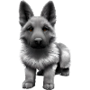 Puppy German Shepherd Dog Owner