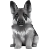 German Shepherd Puppy Dog Owner