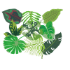 Feuilles de style jungle vert tropical