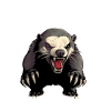 Team Honey Badger