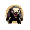 Honey Badger Dont Fact