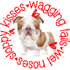 Cute Bulldog, sloppy kisses