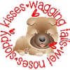 Cute Chow Chow, sloppy kisses