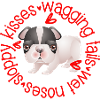 Cute Boston Terrier, sloppy kisses