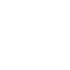 Bear Grizzly Head