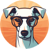 Dog with sunglasses