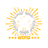 Zimmermann Zimmerleute Zimmerer