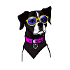 Cool dog with glasses