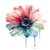 Aquarelle Boho Blossom