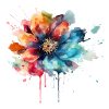 Aquarelle Boho Blossom
