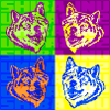 Shiba Inu Popart 1