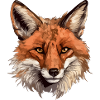 Fox head
