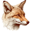 Cunning Fox