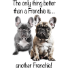 ANOTHER FRENCHIE!