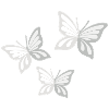 papillon; butterfly