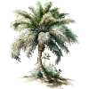 The palm tree