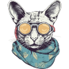 Cat yellow glasses