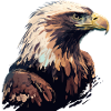 Steinadler