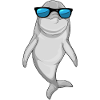 Dolphin Sunglasses