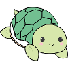 Ogo the turtle