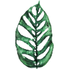 Monstera Esqueleto