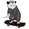 Marsupial Skater Skateboard