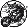 Chat de vélo précipité