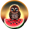 Owl on watermelon in sunset