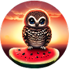 Owl on watermelon in sunset