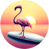 Surfing flamingo in sunset