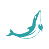 Dauphins Dauphins Dauphins Dauphins Animaux