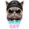 BOSS CAT
