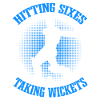 Hitting Sixes & Taking Wickets | Cricket