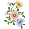 Blumen