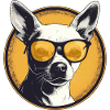 Dog with sunglasses