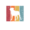 Boerboel