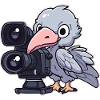 Shoebill Photography