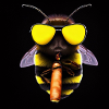 Bee with sunglasses